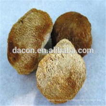 Hericium Extract Hericium Polysaccharides 10% 15% 30% 50%